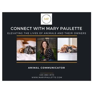 connect with mary.jpg