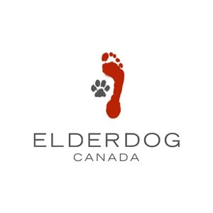 elder dog.jpg