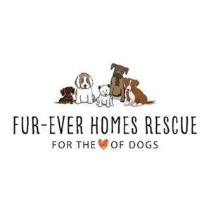 fur-ever home rescue.jpg