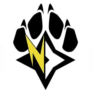 ninja dog - Copy.jpg