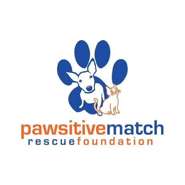 pawsitive match.jpg