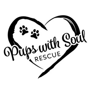 pups with soul.jpg