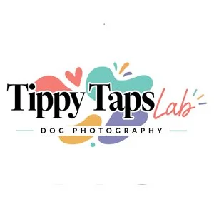 tippy taps.jpg