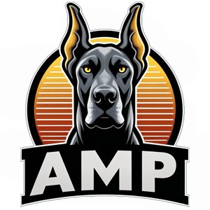amp.jpg