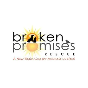 broken promises.jpg