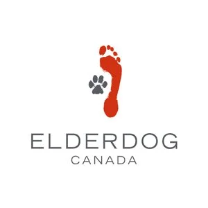 elderdog.jpg