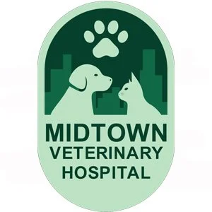 midtown vet.jpg