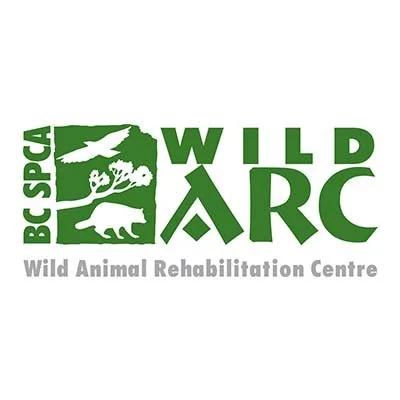 Wild Arc.jpg