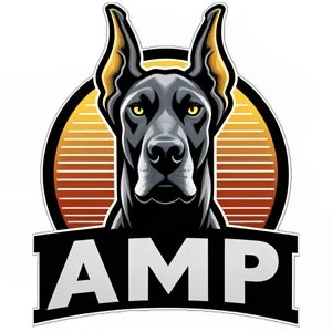 amp.jpg