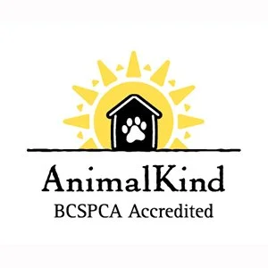 ANIMAL KIND.jpg