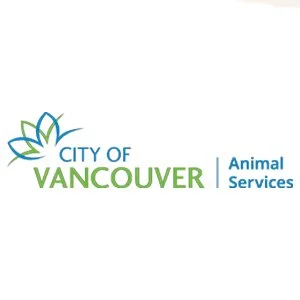 city of vancouver.jpg