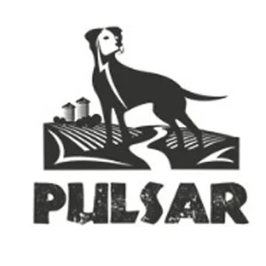 pulsar.jpg