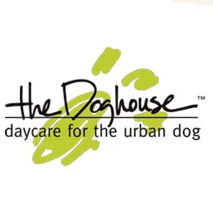 the dog house.jpg