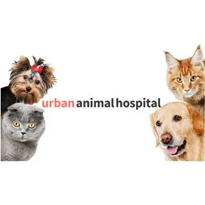ubran animal hospital.jpg