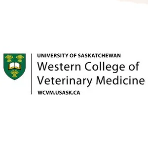 university of sk.jpg