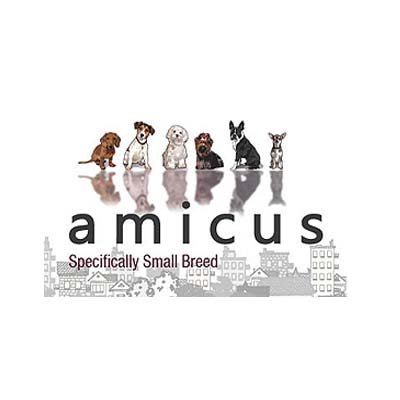 amicus.jpg