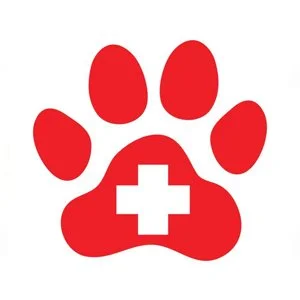 first aid.jpg