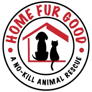 home for good.jpg