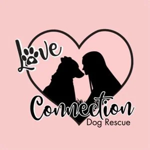 love connection.jpg