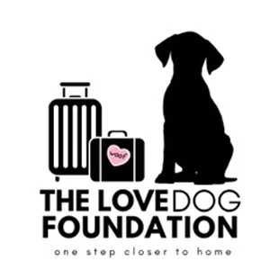 love dog foundation.jpg
