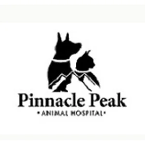 pinnical peak.jpg