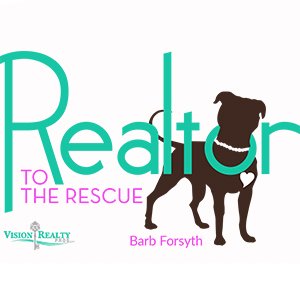 realtor to the rescue.jpg