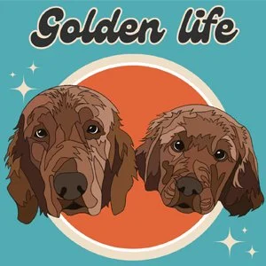 the golden life.jpg
