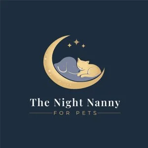 the night nanny.jpg