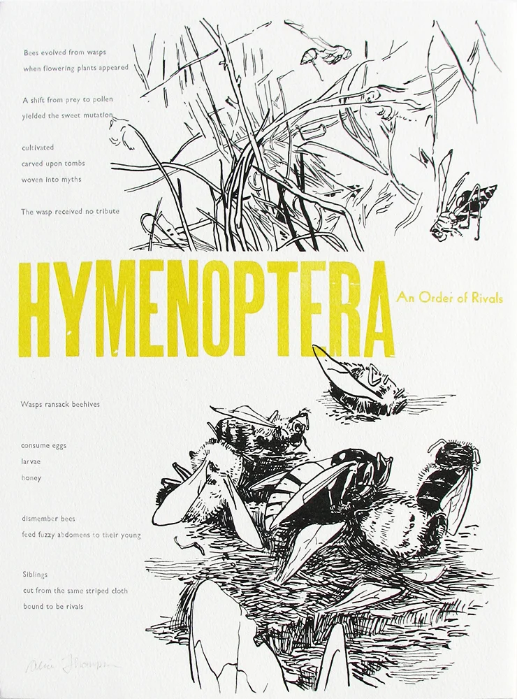 Hymenoptera: An Order of Rivals