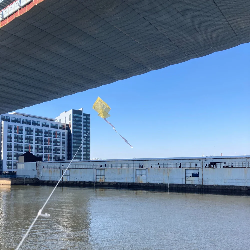 Events — Alice Thompson Art