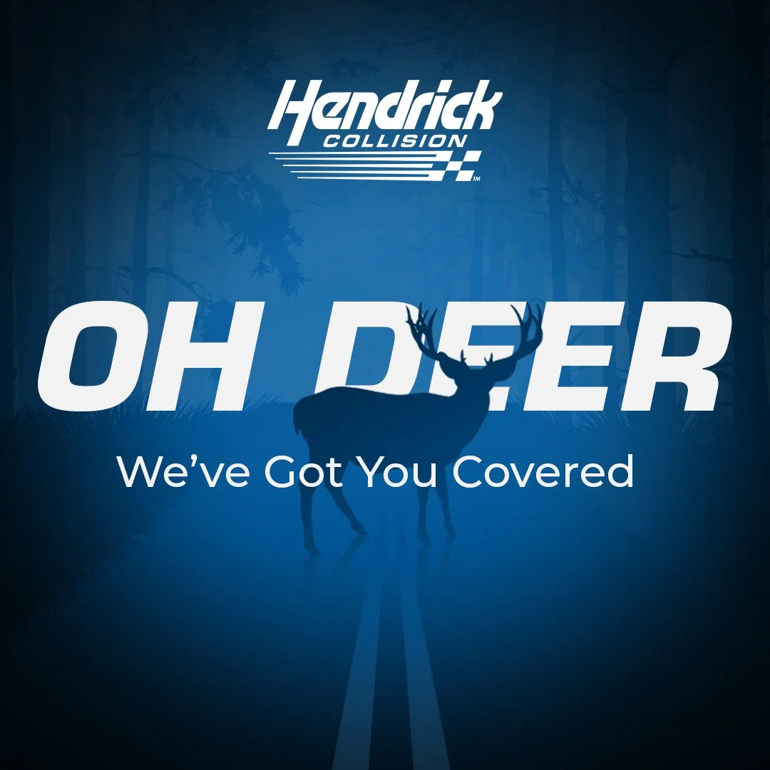  Social graphic that raises awareness about animal-related collisions. 