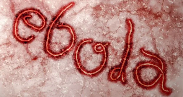 What you need to know about the Ebola Virus