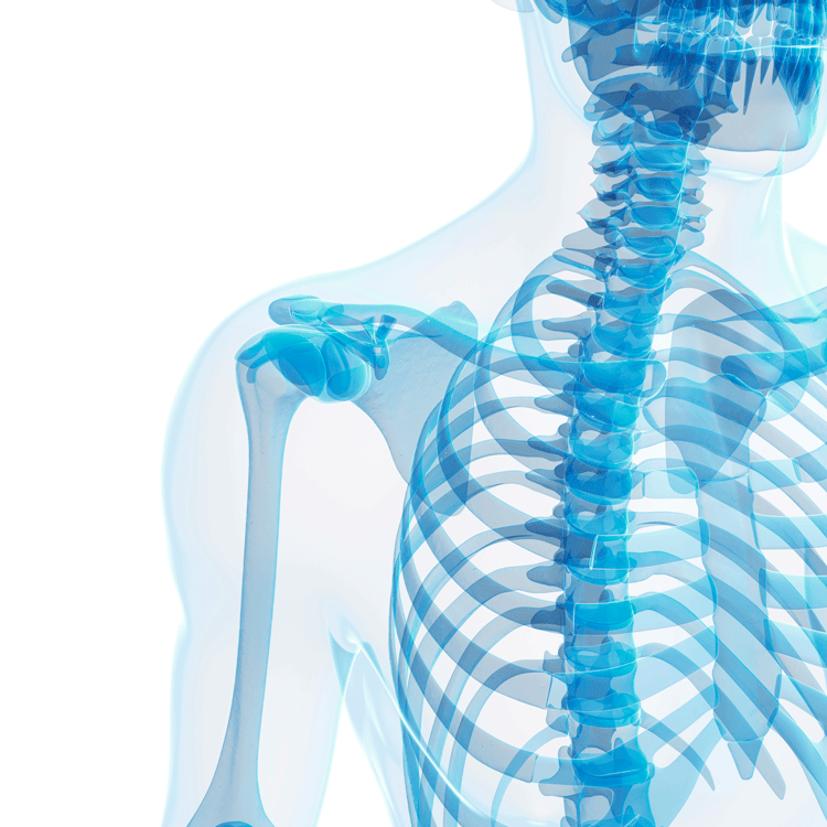 What you need to know about bone health