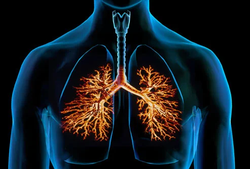 Signs and symptoms of bronchitis