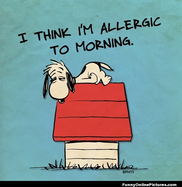 Tips for becoming a morning person