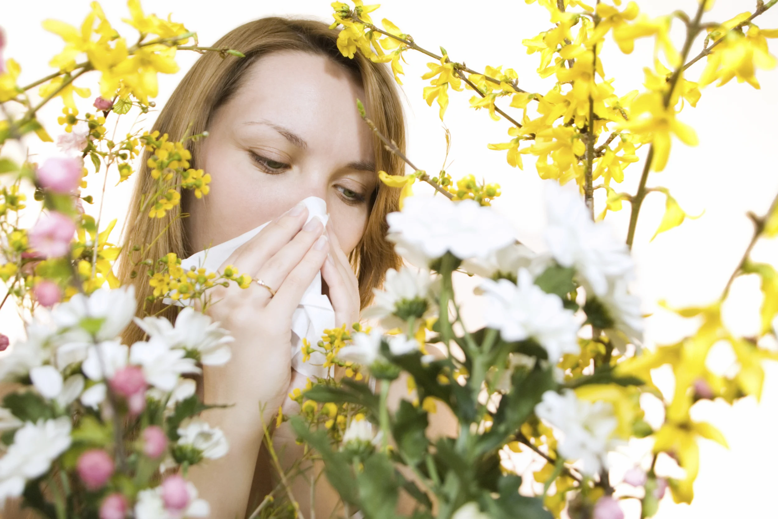 Natural ways to treat allergies in the Spring season