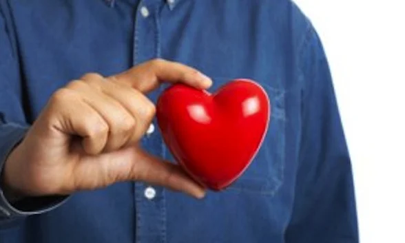 Testosterone-heart disease link explained