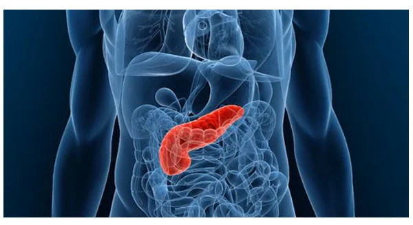 New pancreatic cancer therapy labeled 'breakthrough' by FDA