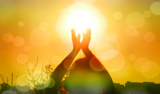 Study suggests vitamin D may prevent prostate tumor growth