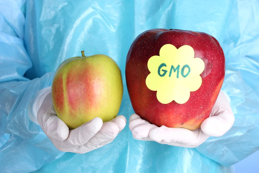 Understanding GMO v. Non-GMO Fruits + Vegetables