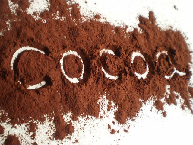 Could Eating Cocoa Improve Brain Health in Elderly?