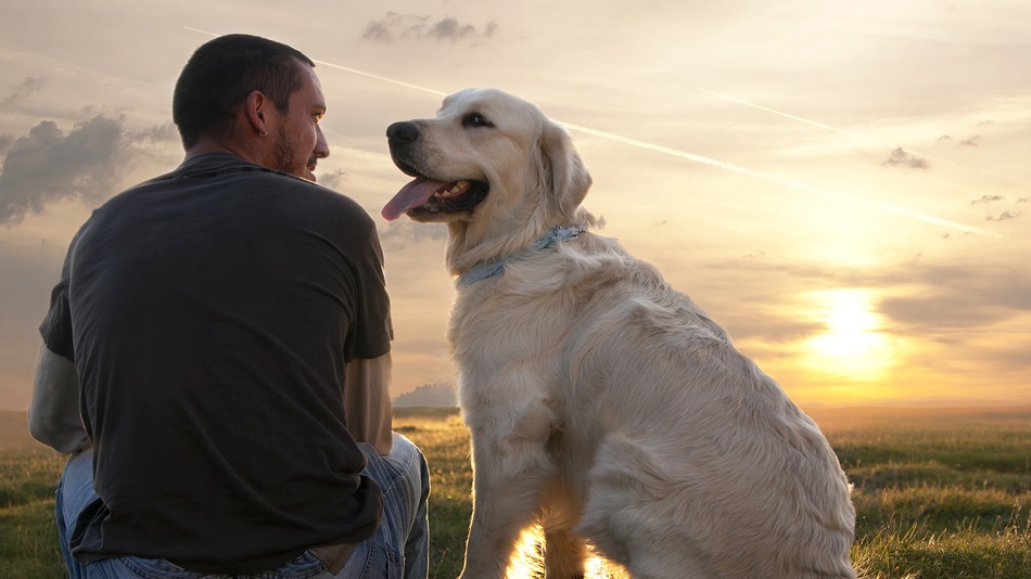 Man's Best Friend Could Be Man's Best Medicine
