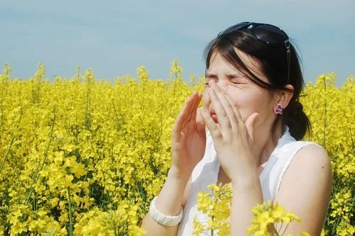 How to Survive Allergy Season