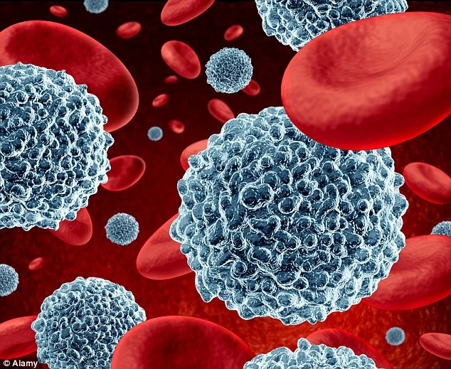 Scientists Discover Potential Immunity Booster for Viruses and Cancer