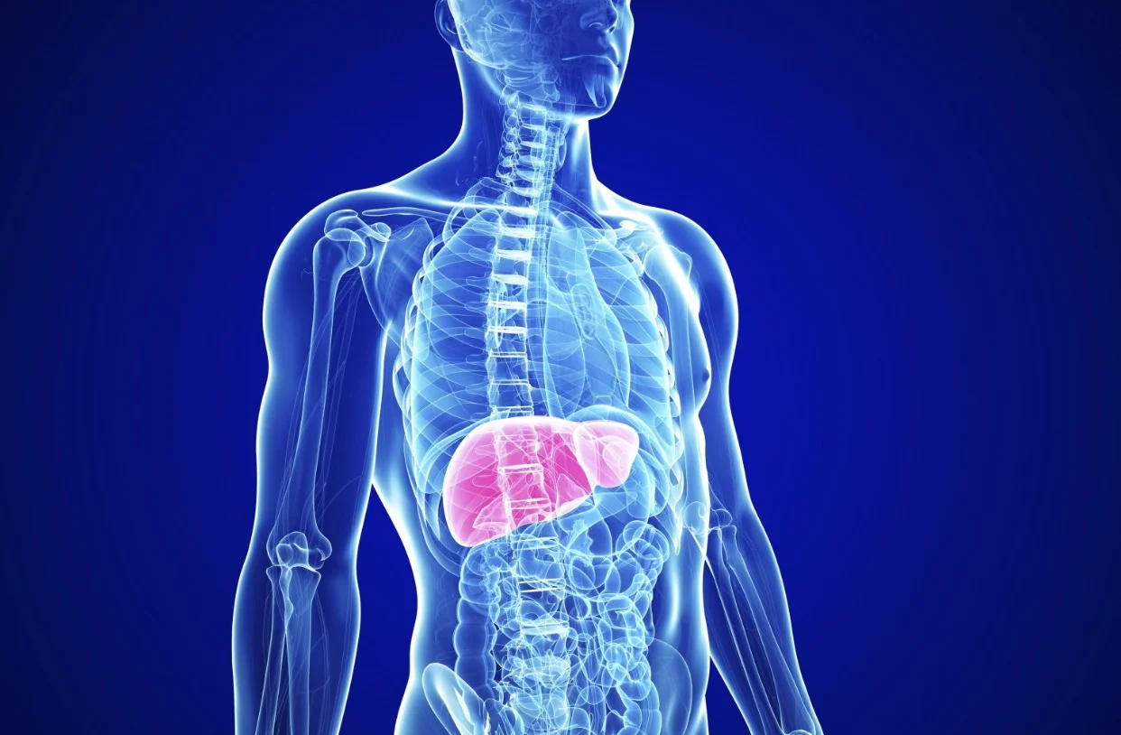 Everything You Need to Know About Liver Disease