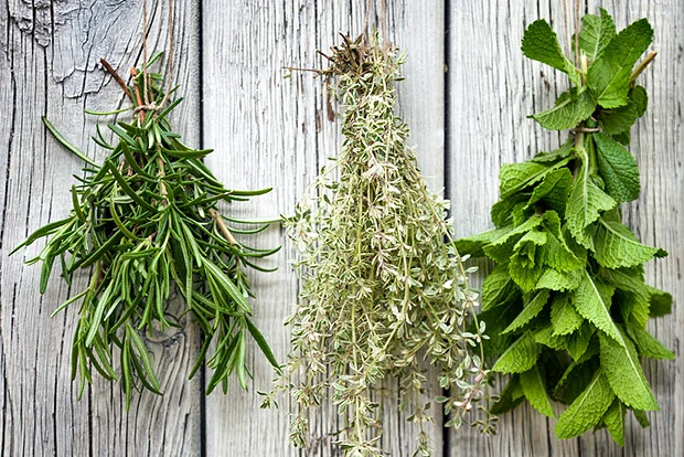 6 Herbs to Relieve Anxiety 