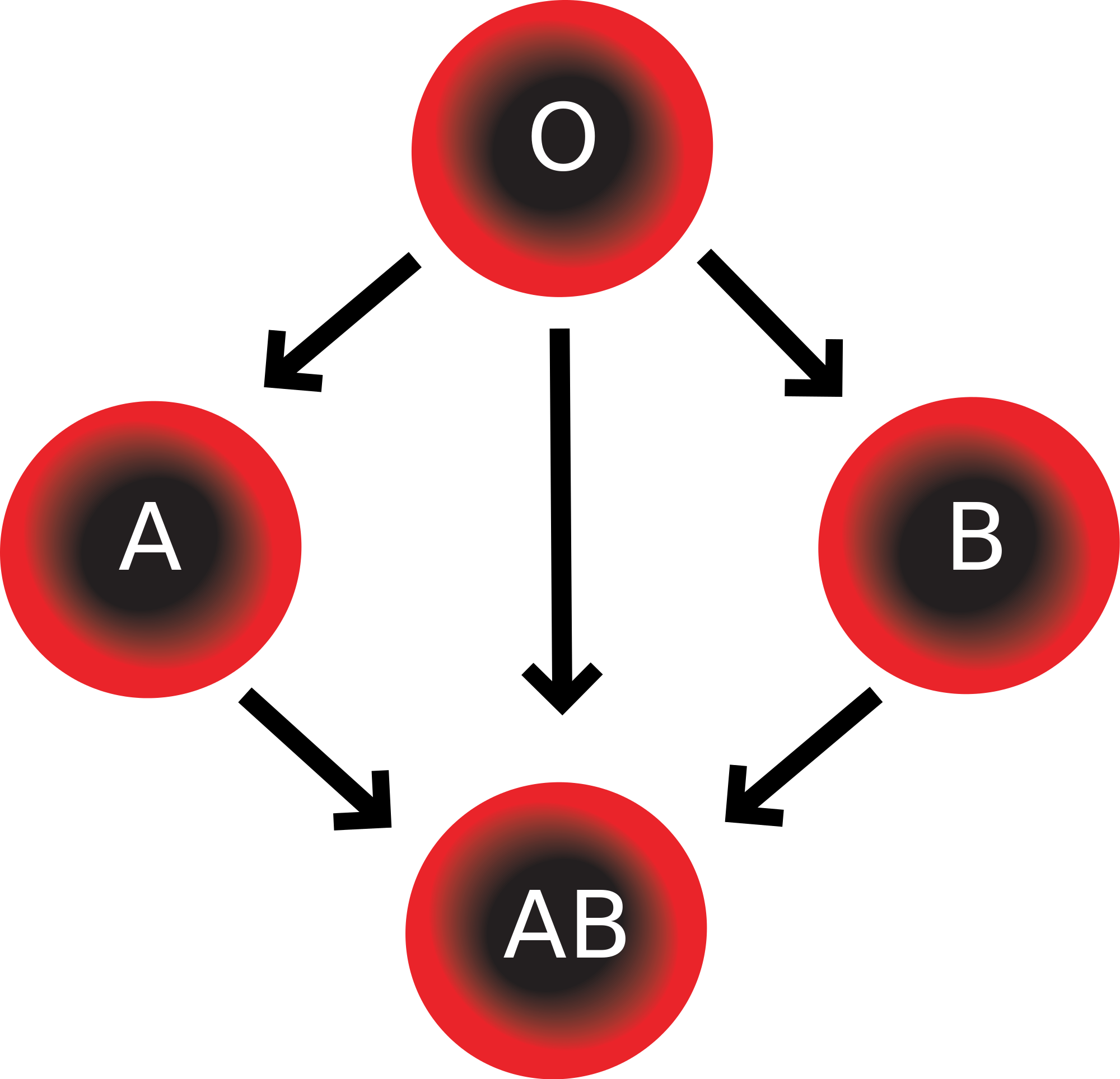 Will you be able to change your blood type?