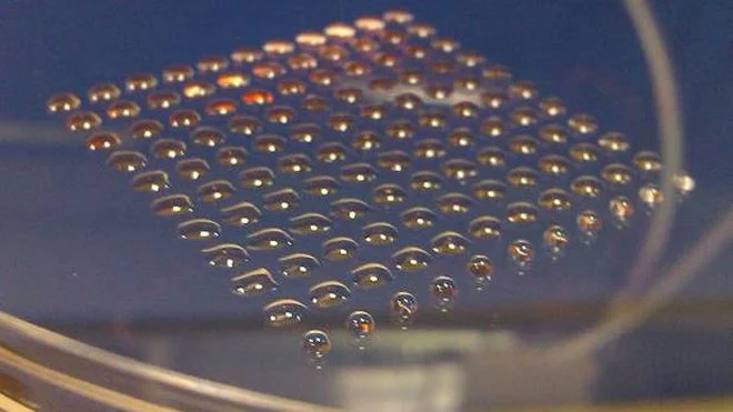 3dbioprintinghumancells.jpg