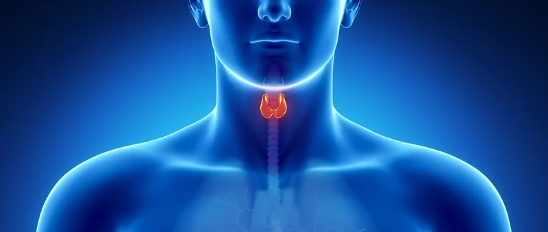 Thyroid Issues: Are you at risk?
