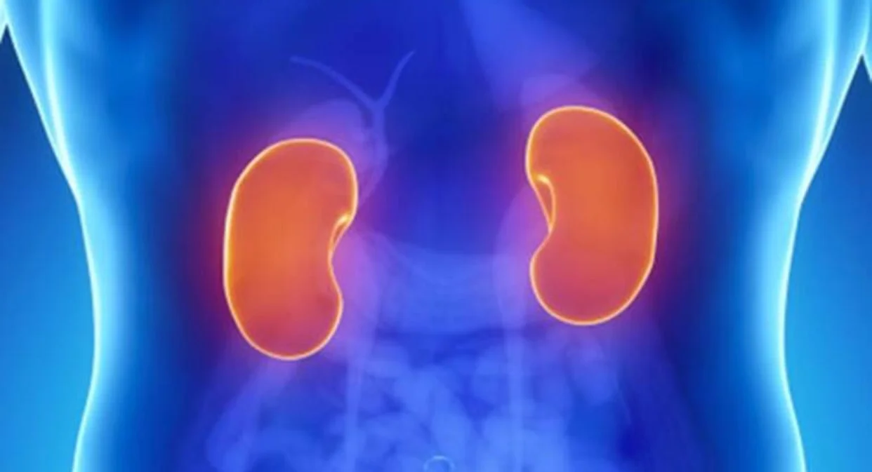 What is nephrotic syndrome?